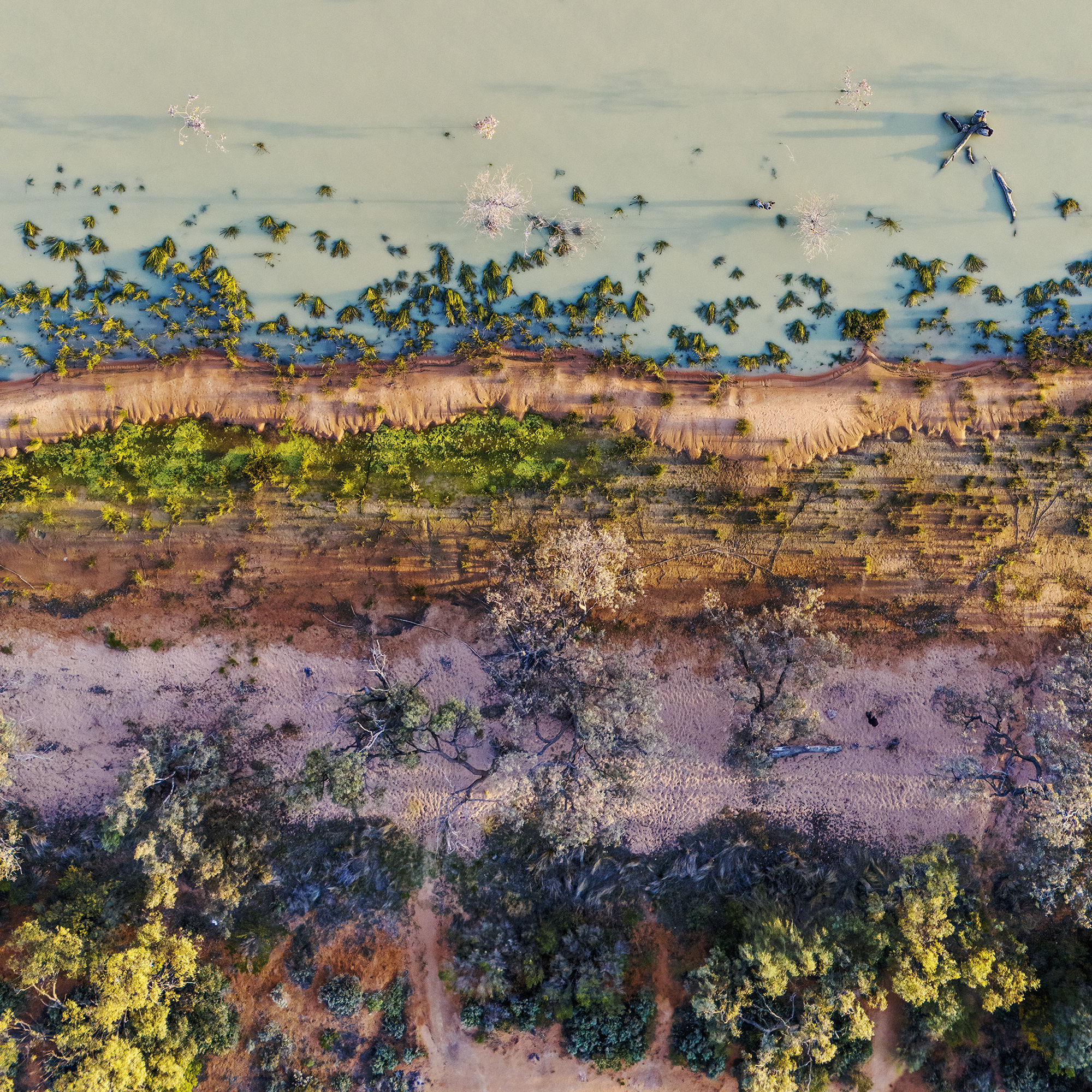 Liminal Zone Wontanella