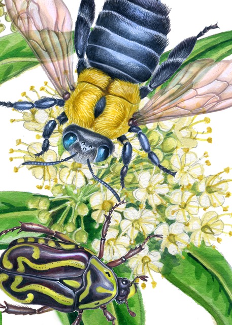 Microcosm of Jewels #2